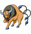 tauros.jpg